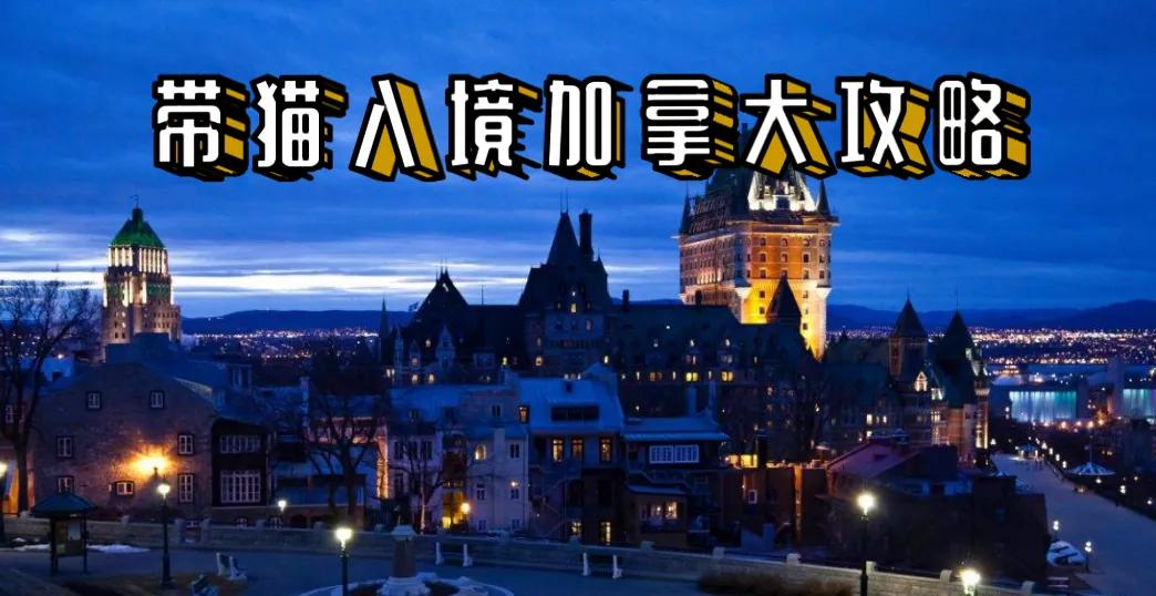 带猫出国要哪些资料和手续,多伦多带猫回国攻略