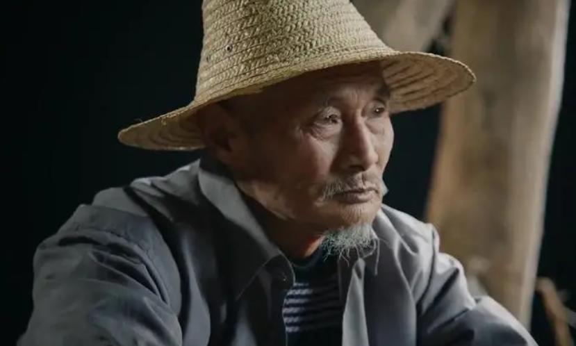 靠晒太阳就躺赚的光伏骗局,靠晒太阳躺赚上万农民被坑