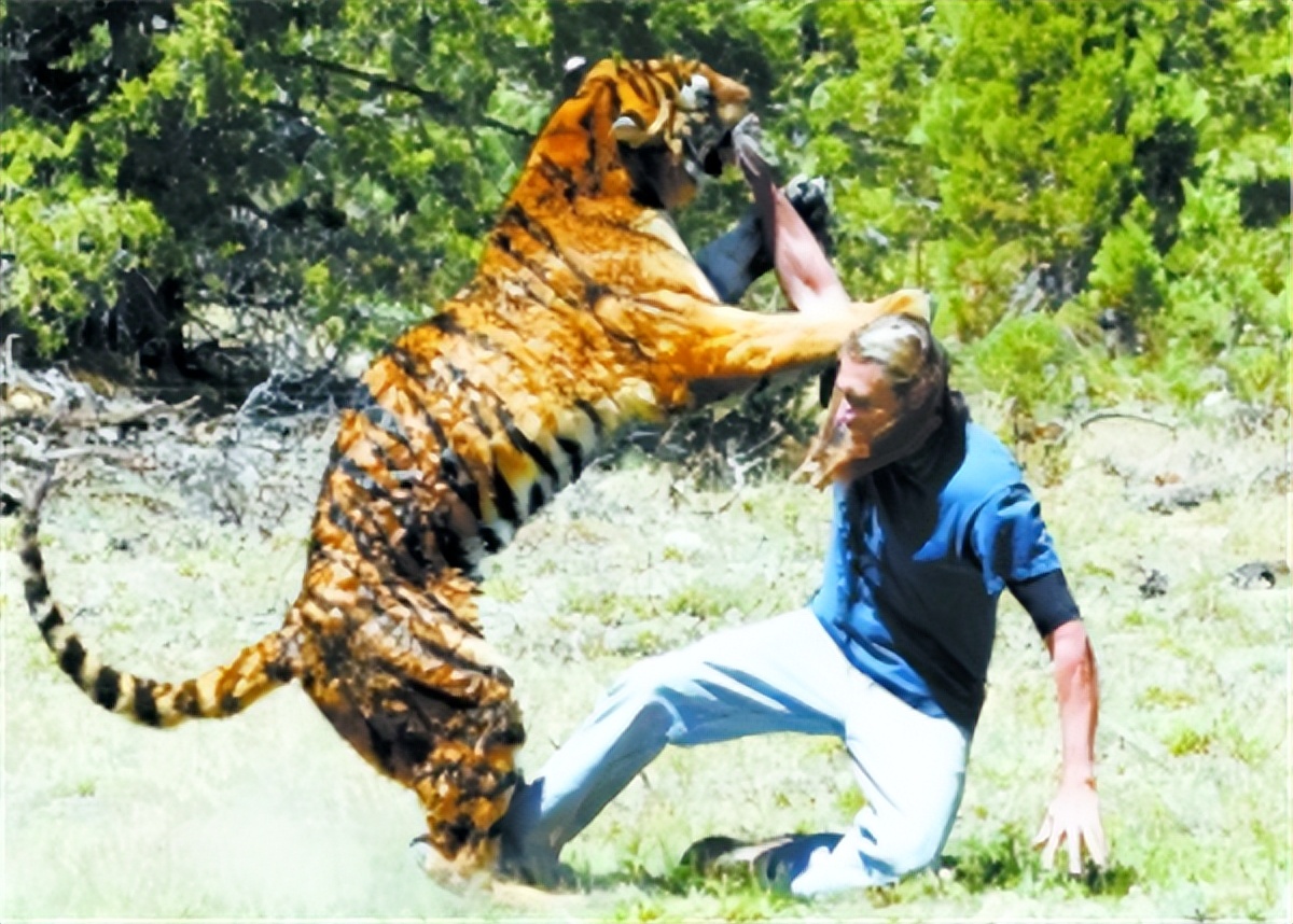 老虎吃过人后真的会被杀掉吗,吃过人的老虎到底有多可怕