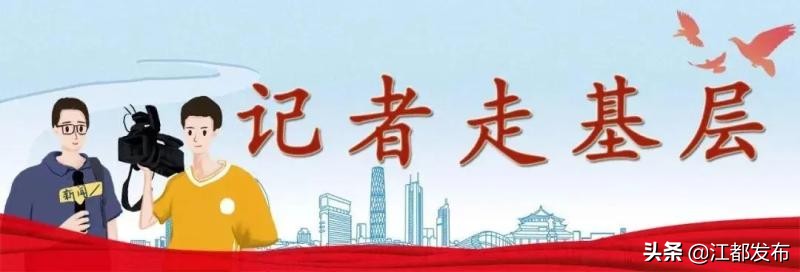 记者走基层稿件,记者走基层300公里