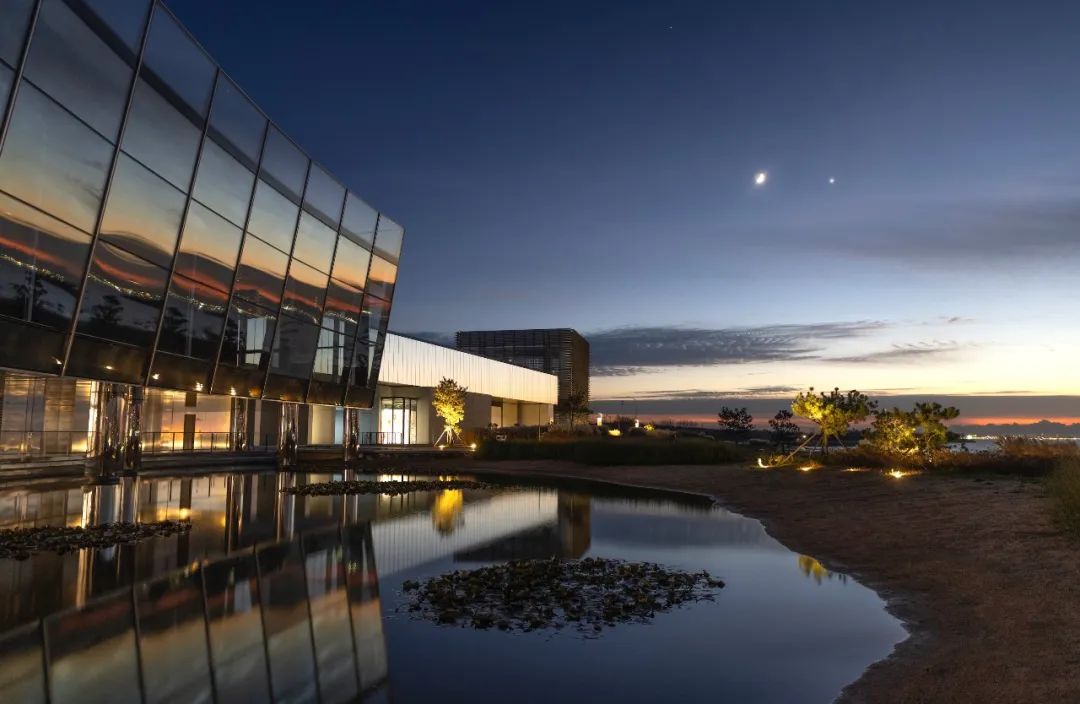 山东青岛发展最好的区,青岛有网红地区吗