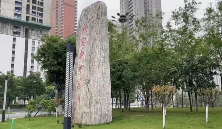 社区调研活动,社区走访反映问题