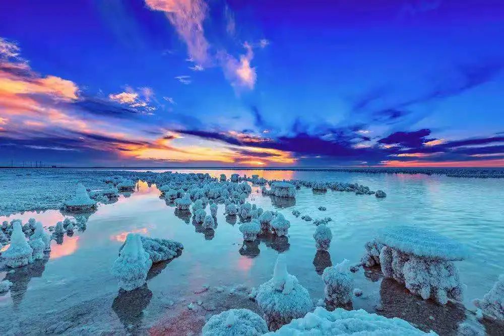 我愿和你一起奔赴理想和未来,我愿背上行囊随你去远方