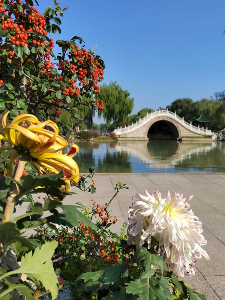 邗庠杂忆之十一——夜半惊魂