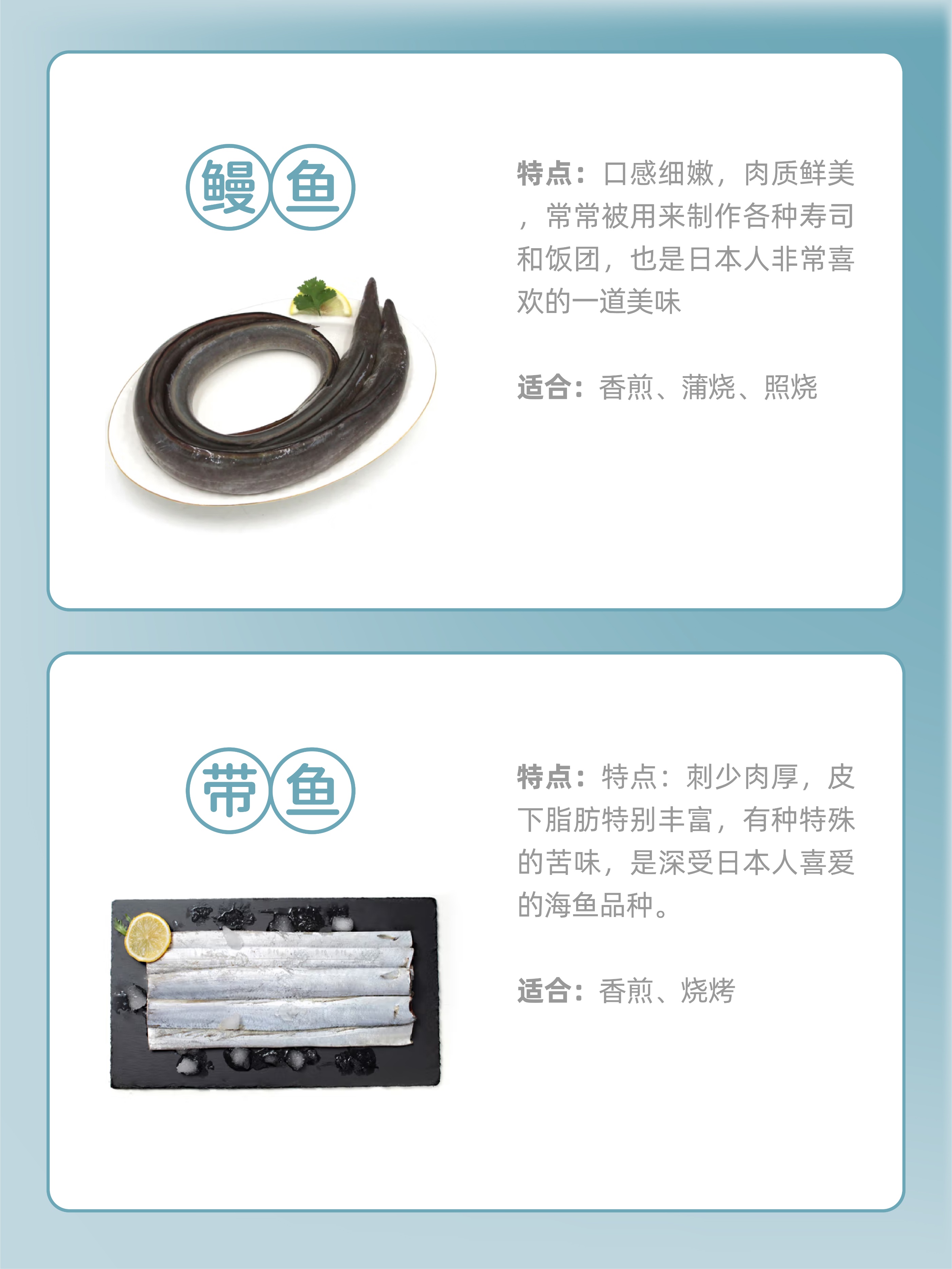 连云港常见海鱼种类,厦门常见海鱼种类