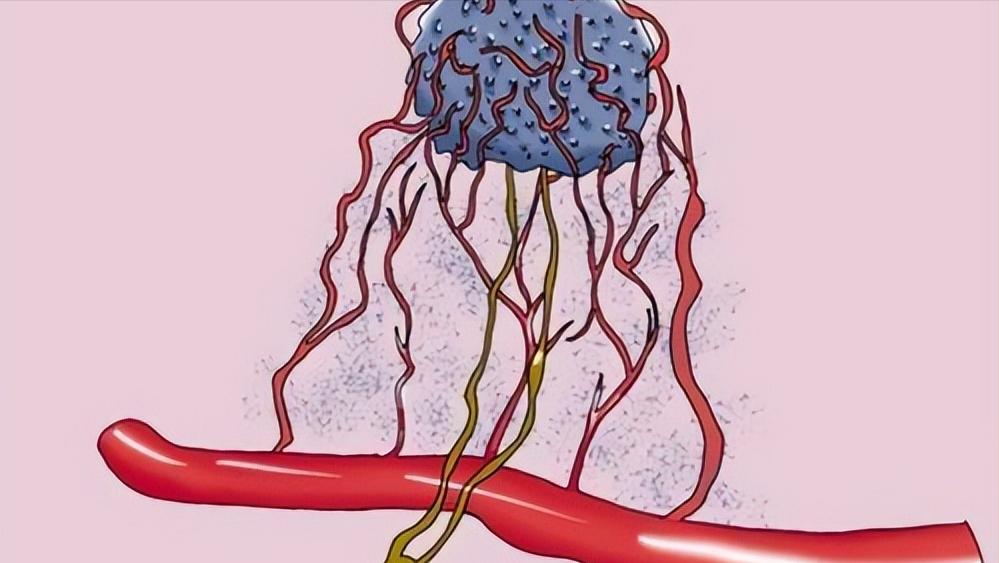 凌霄花可治癌,凌霄花可以治疗癌症吗