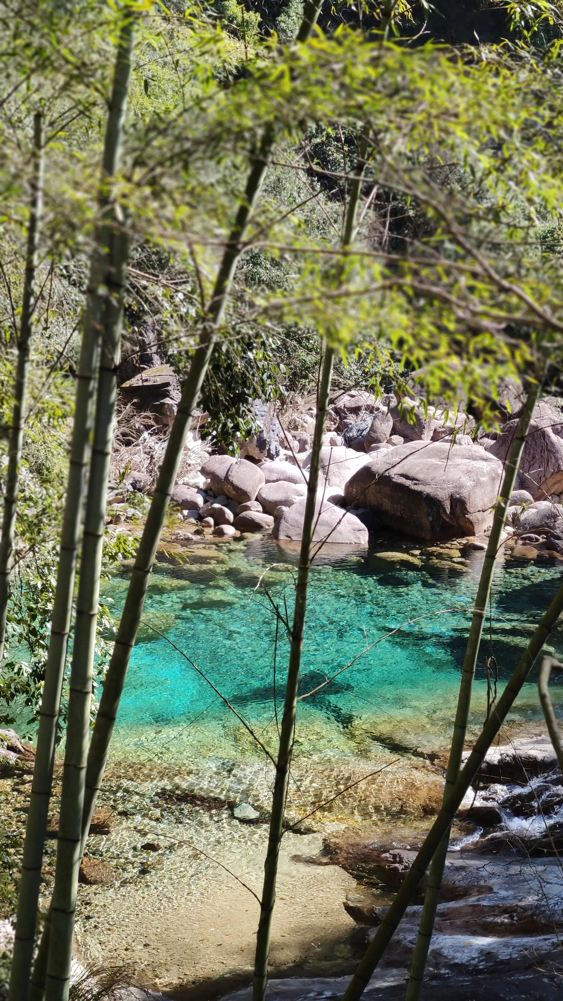 高考状元休宁,休宁十九位状元的名字
