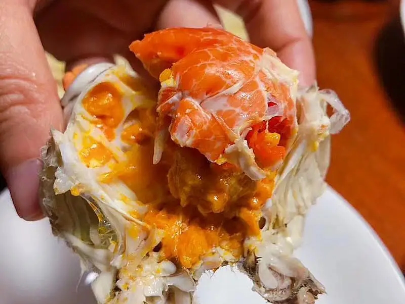 一招学会挑肥美梭子蟹,卖梭子蟹的老板教你挑梭子蟹肥瘦