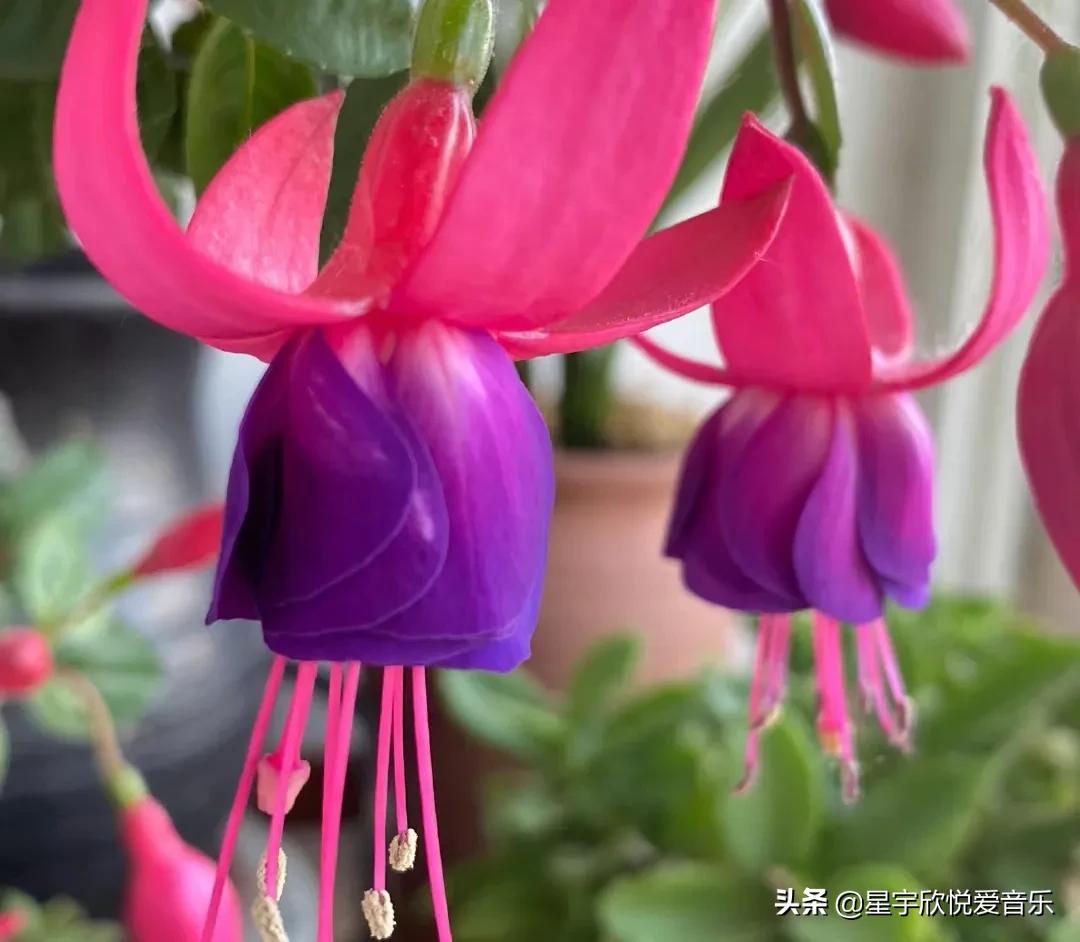 分享惊艳的图片,分享美景的图片卡点