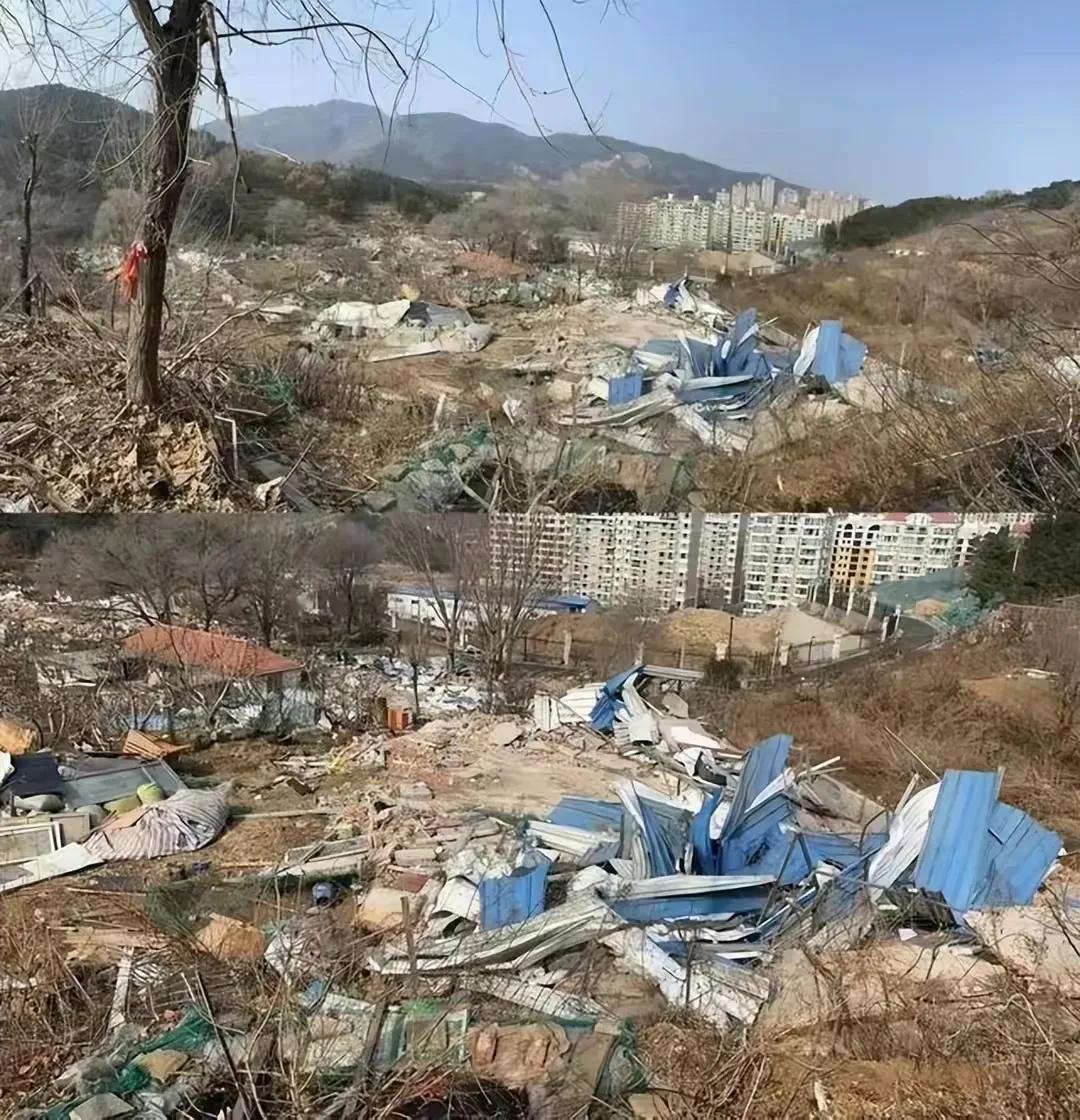 吕亚童事件评论,吕亚童事件后续