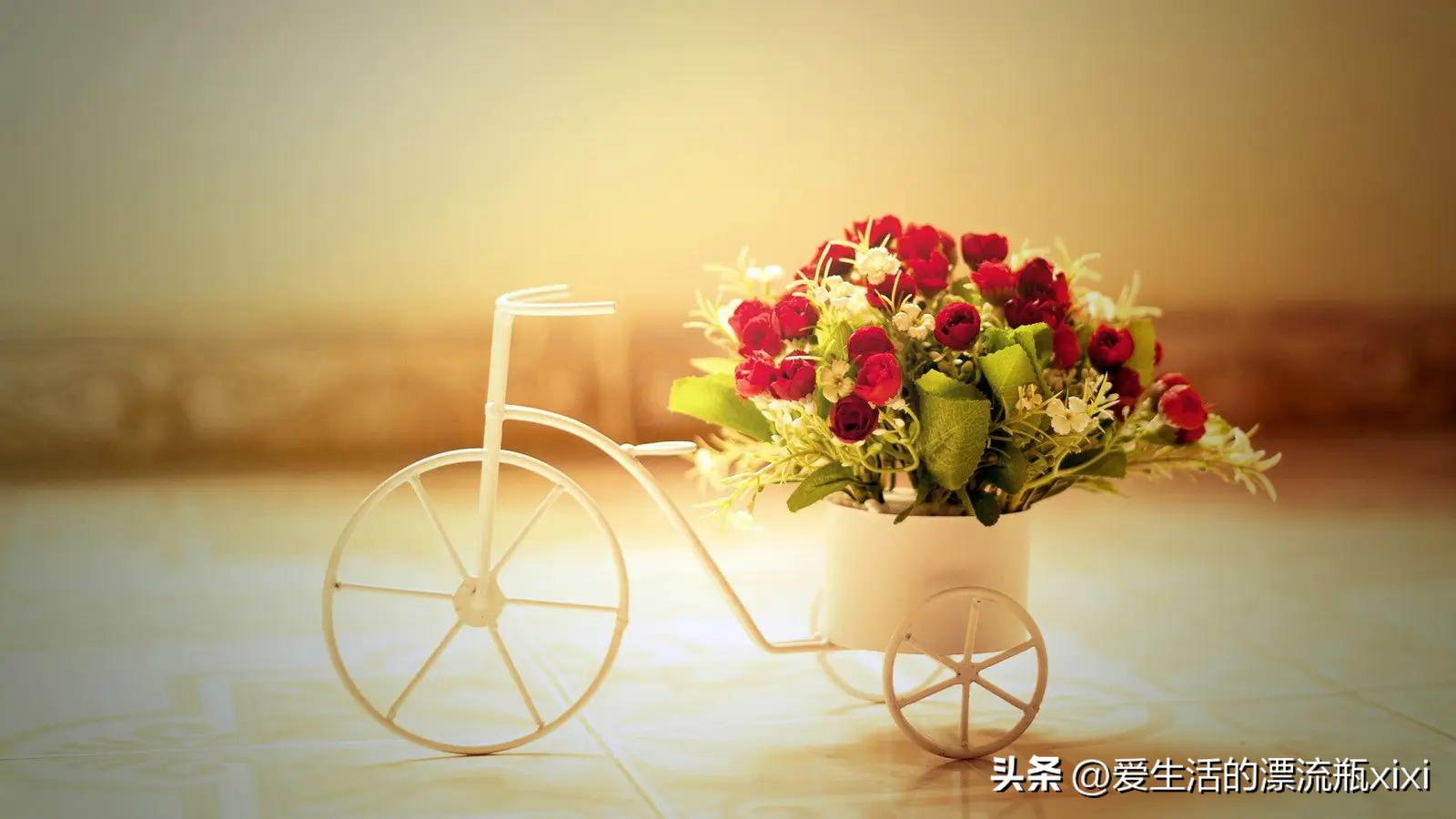 是工作重要还是相亲找对象重要,找对象感觉重要还是条件重要