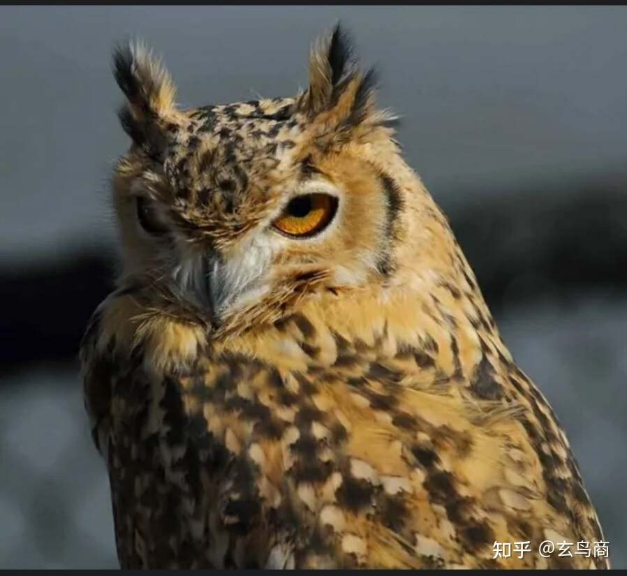 山海经2012白话全译彩图版pdf,山海经海外西经是指哪里