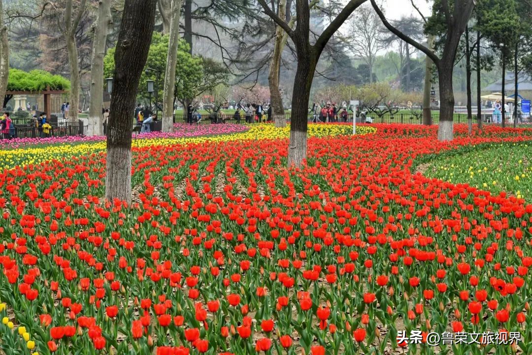 西安坐地铁旅游全攻略,西安半日游地铁