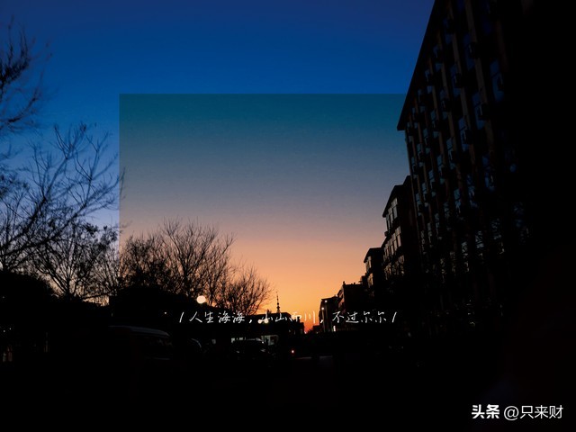 所谓致富能力，大都是偷蒙拐骗诈之类吗？