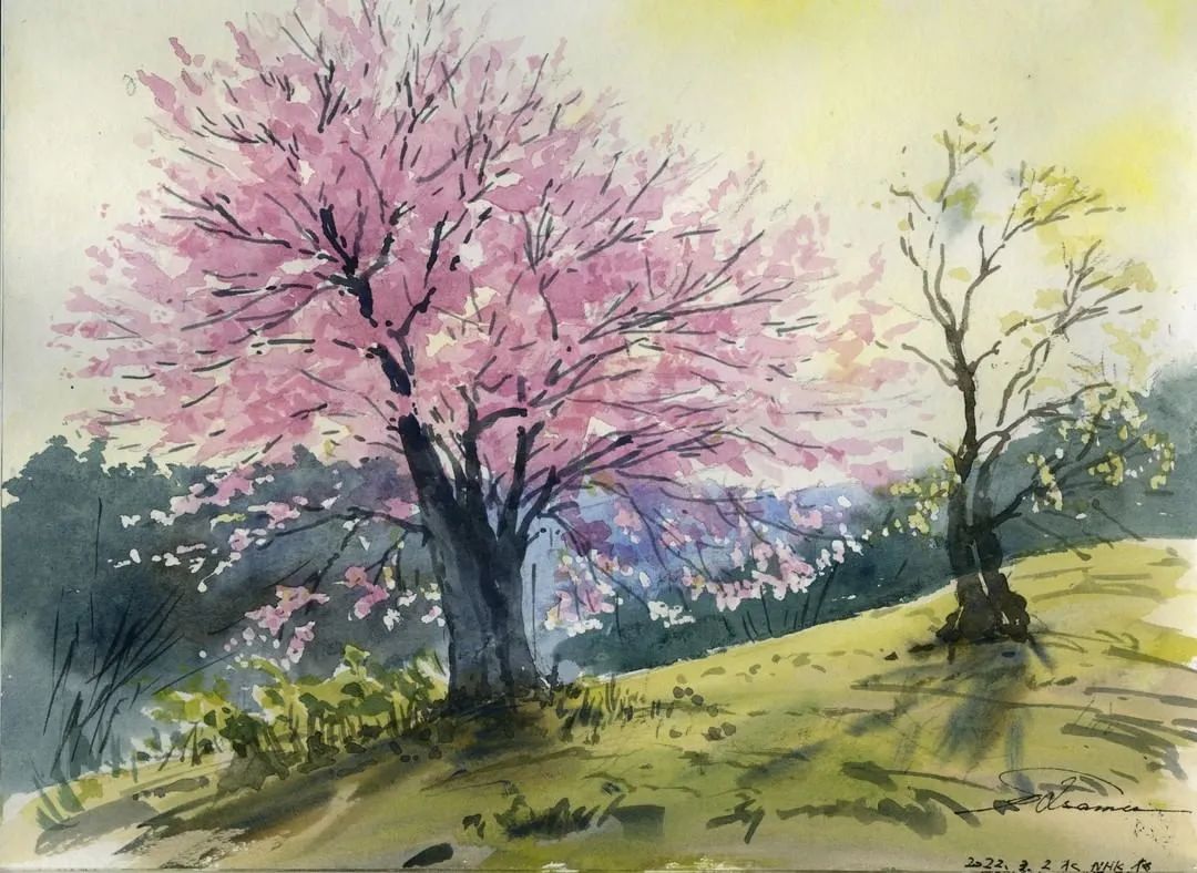 他放弃年薪千万的工作回乡创业,他放弃高薪工作选择回家创业