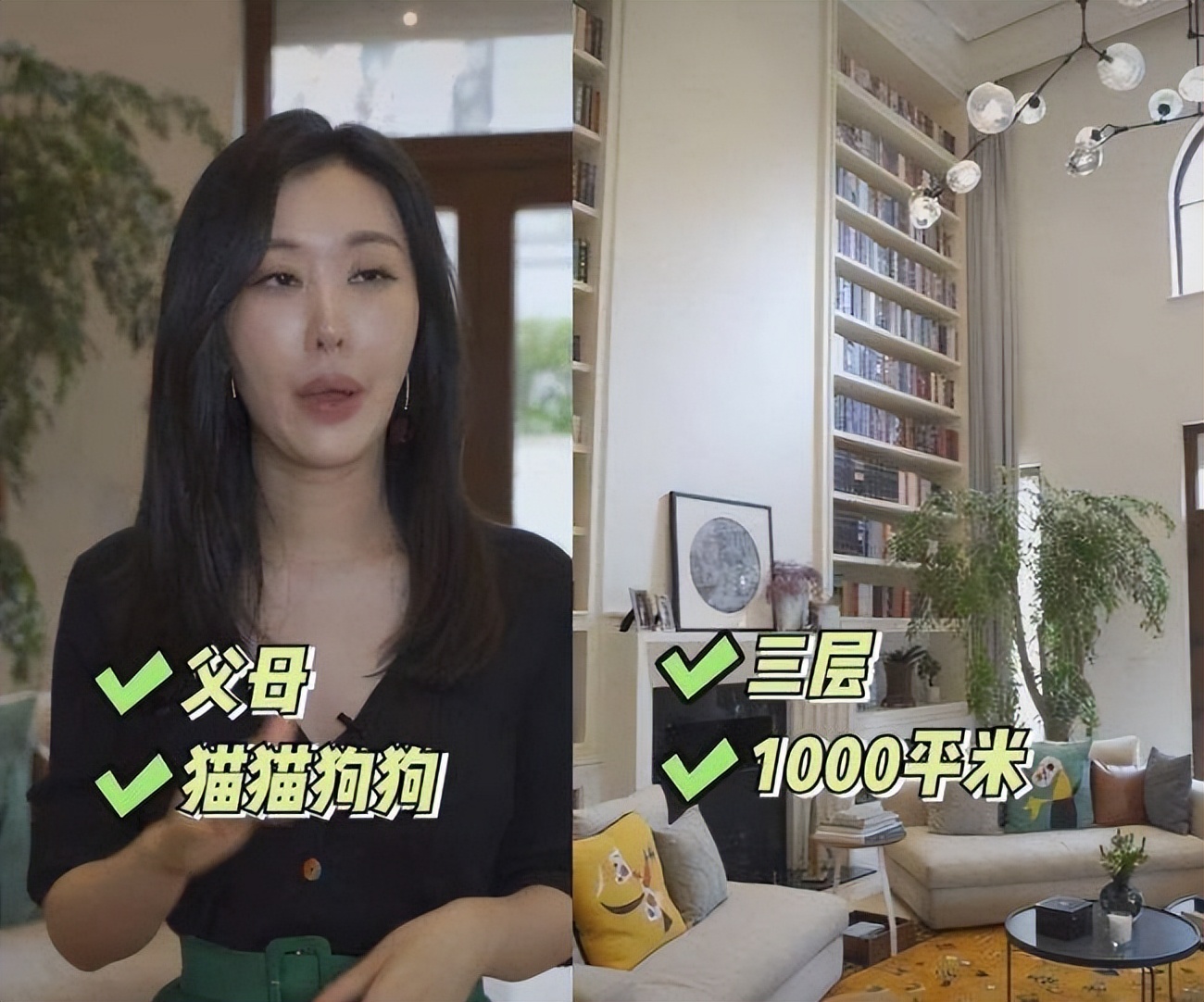 田朴珺与王石婚姻,田朴珺与王石现状