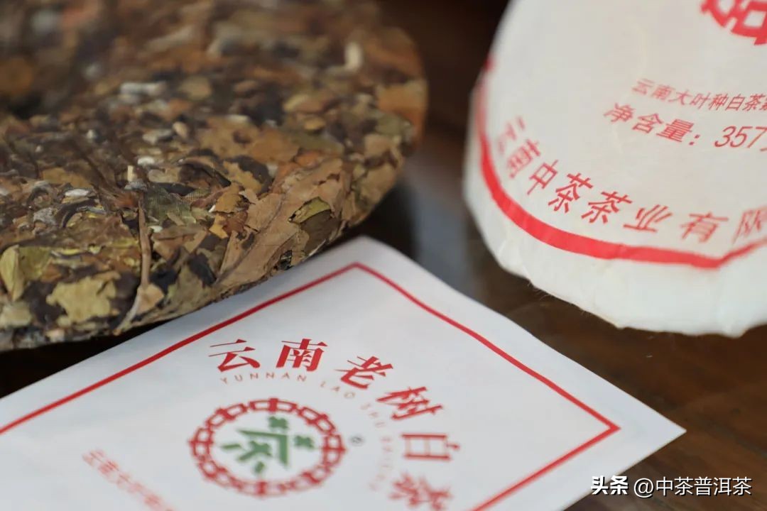 茶友评测,中茶福鼎白茶蝴蝶牌老树白茶