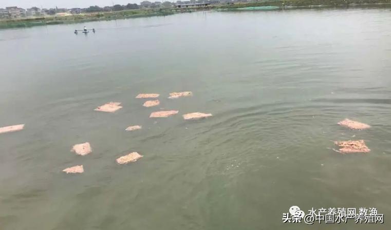 <html>
<head><title>502BadGateway</title></head>
<body>
<center><h1>502BadGateway</h1></center>
<hr><center>nginx</center>
</body>
</html>
<!--apaddingtodisableMSIEandChromefriendlyerrorpage-->
<!--apaddingtodisableMSIEandChromefriendlyerrorpage-->
<!--apaddingtodisableMSIEandChromefriendlyerrorpage-->
<!--apaddingtodisableMSIEandChromefriendlyerrorpage-->
<!--apaddingtodisableMSIEandChromefriendlyerrorpage-->
<!--apaddingtodisableMSIEandChromefriendlyerrorpage-->
