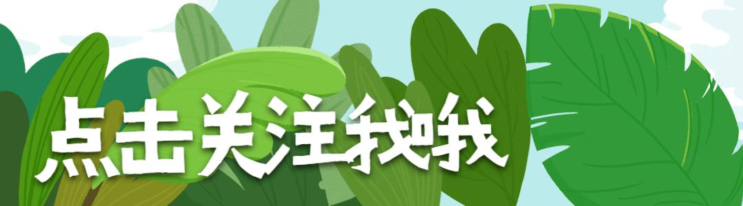 自考异地转考流程及手续,自考转考需要本人到吗