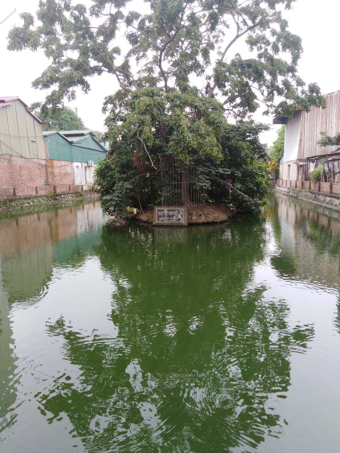 越南工作的真实生活,越南红木市场的忙碌生活