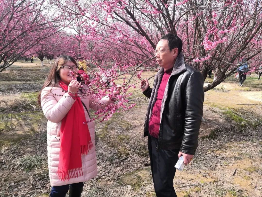 梅花香自苦寒来（李淑华《浪子评论》四、时事杂谈·热点篇4）