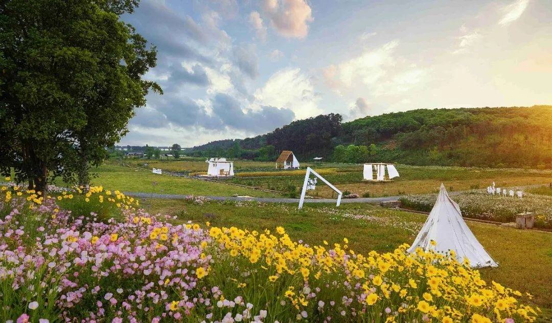 金坛非遗体验,非遗研学沉浸式体验非遗魅力