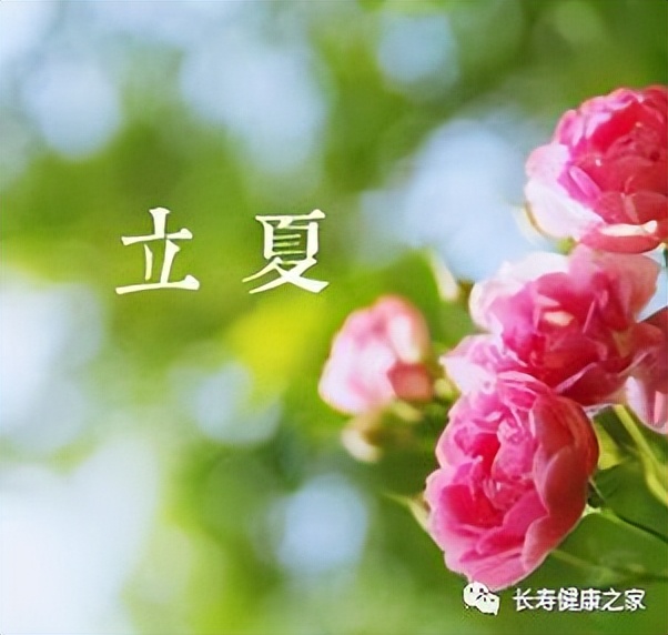 明日立夏，鸡蛋加它清心火去恶疾！现在吃补气、健脾、固肾、养心，1个堪比1只鸡！