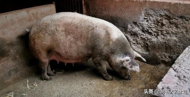 九十年代抓捕悍匪现场,90年代真实抓捕悍匪场面