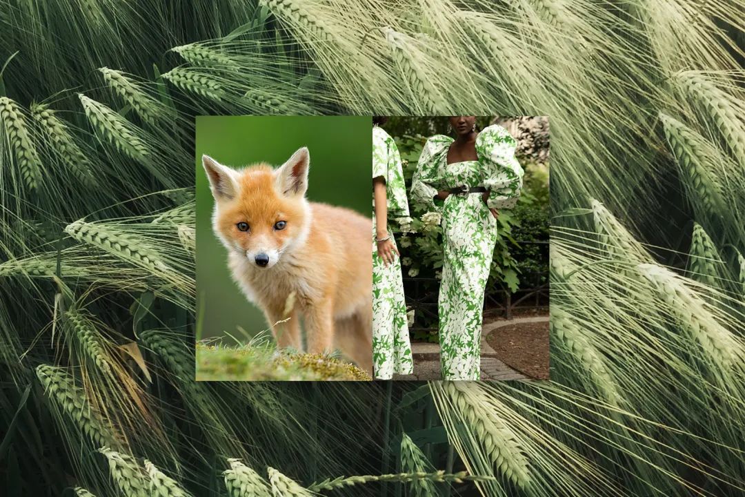 315消费真相,315打假皮草吗