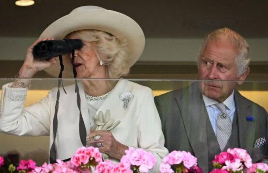 卡米拉惊艳瞬间,查尔斯卡米拉最新视频