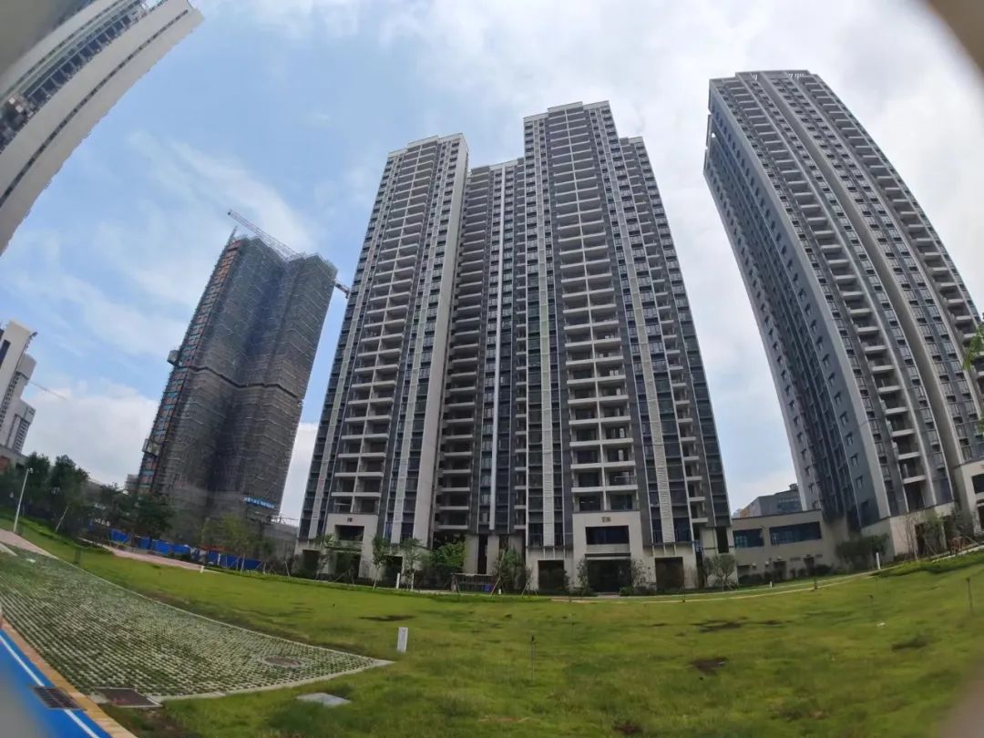 广州黄埔镇龙东区回迁房户型,广州黄埔回迁房户型