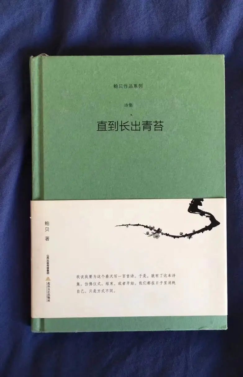 在书本腰封上“捡漏”金句，浓缩果然是精华