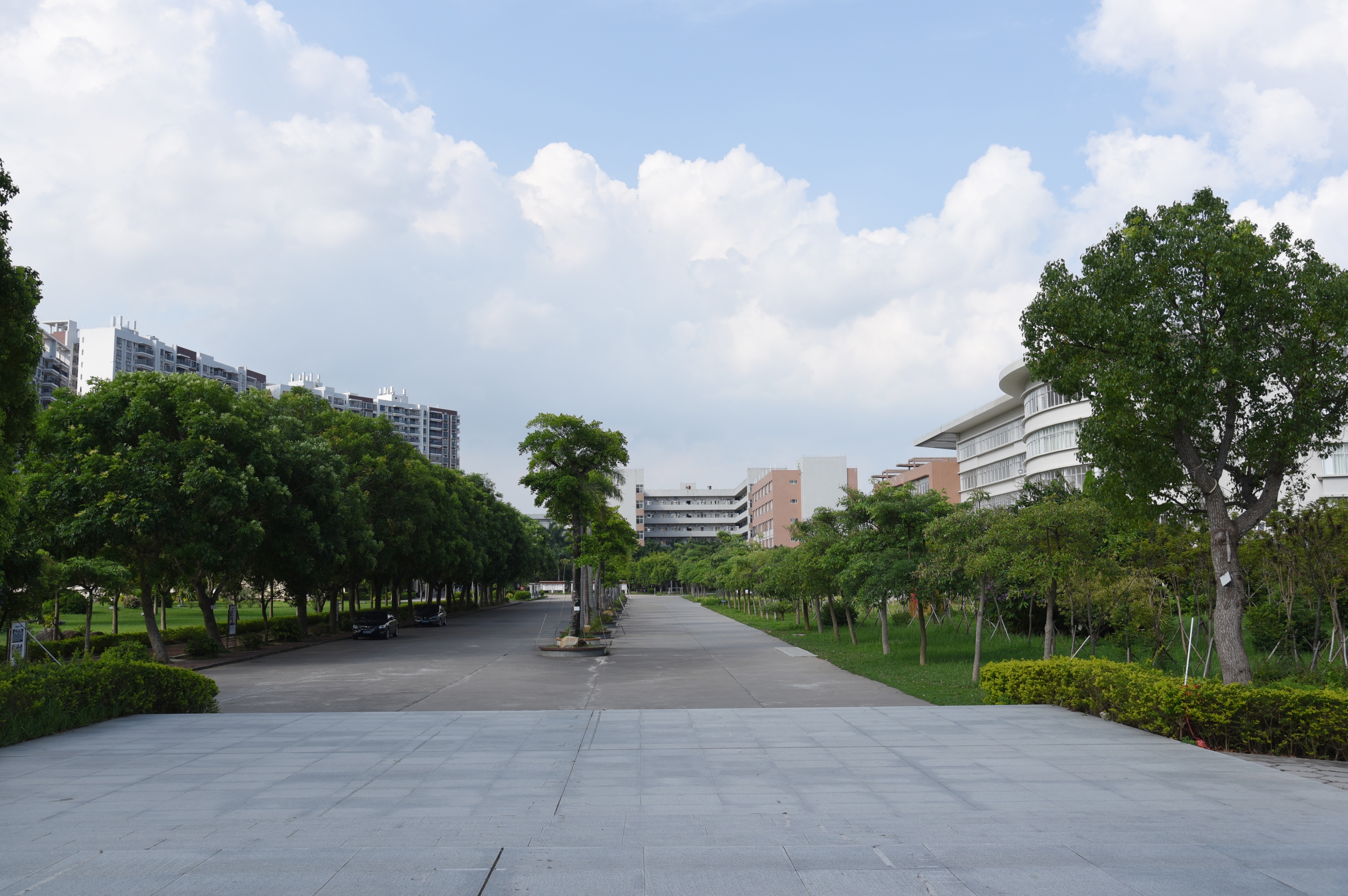 电白区第一中学好吗,电白区第一中学面积