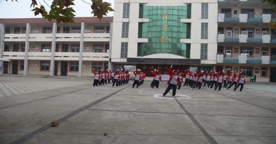 难忘母校永远的恩师,难忘恩师感恩母校实践报告