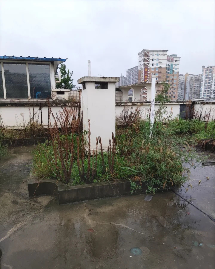 买顶层的好处和坏处,买顶层楼会有什么缺点