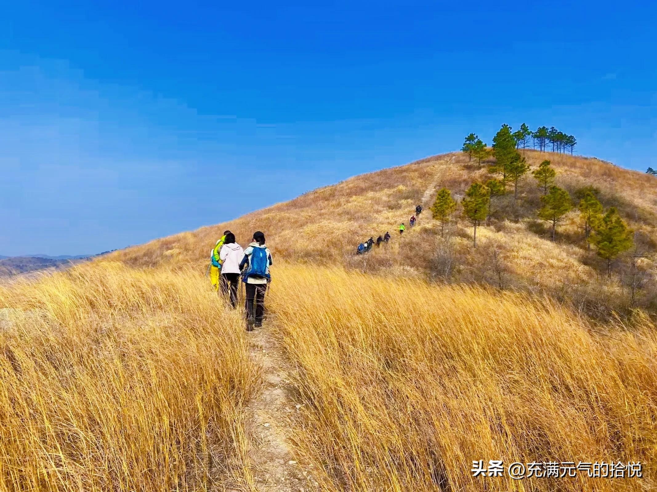 武汉龙王尖是野山吗,龙王尖和云雾山