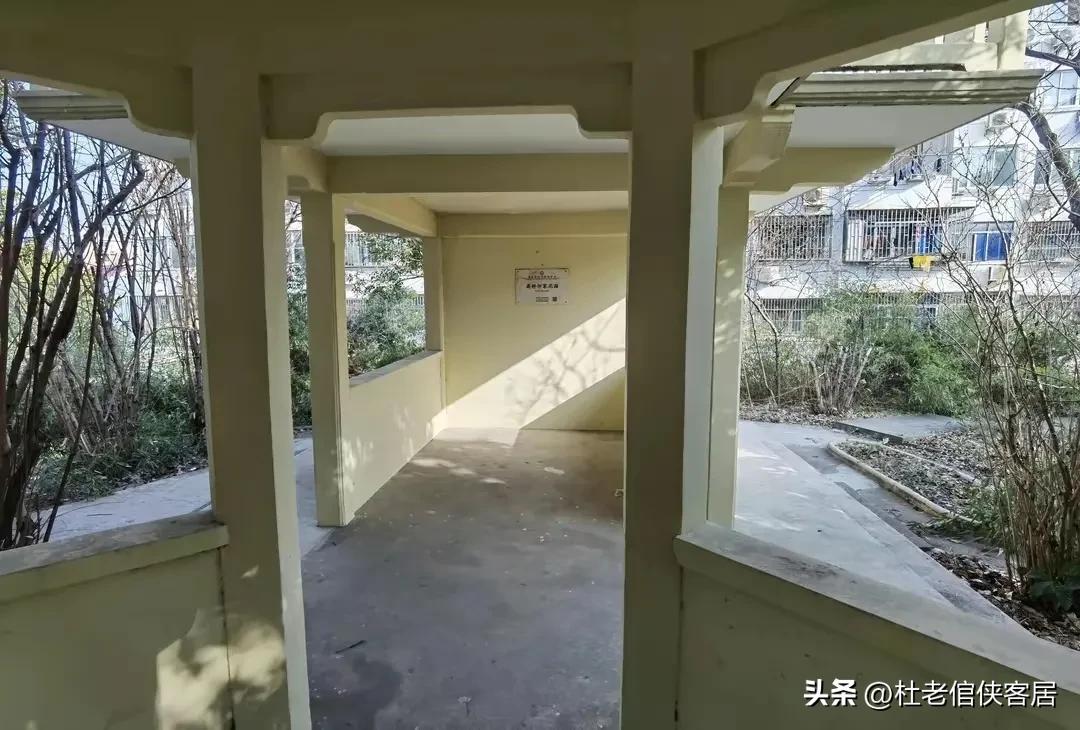 如风往事之——漫谈油菜花开与“白塔”