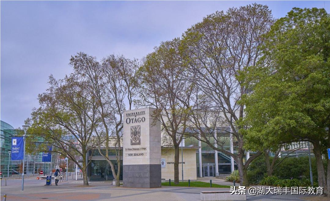 新西兰的大学,哪些是世界排名一流的?