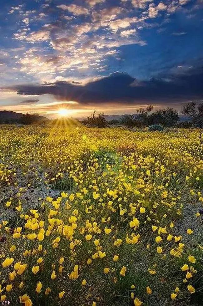 太美了100个世界级美景,全球100张绝世美景