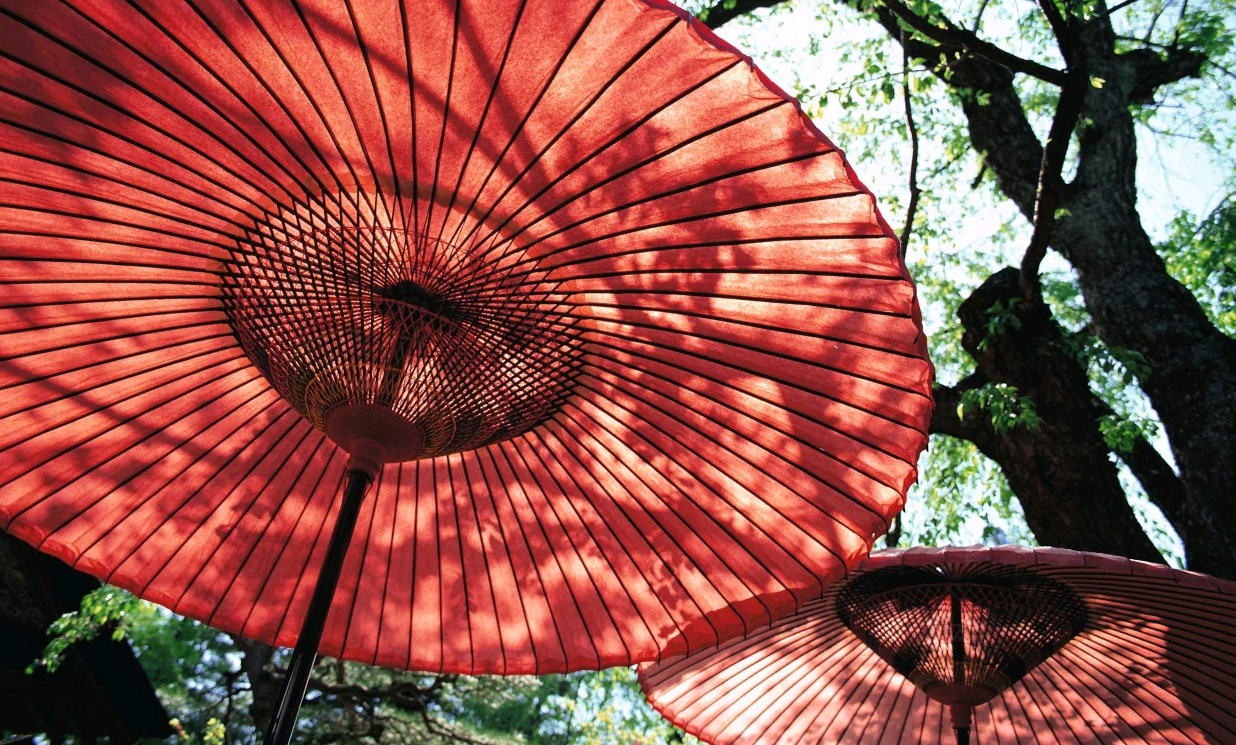 日本企业摒弃一次性雨伞观念，他们让雨伞共享和再利用雨伞