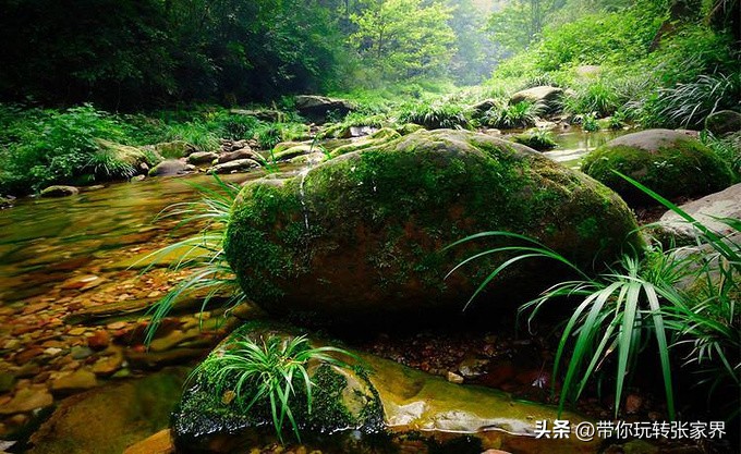 张家界5天4晚旅游攻略和费用明细,张家界旅游攻略和费用五天四晚