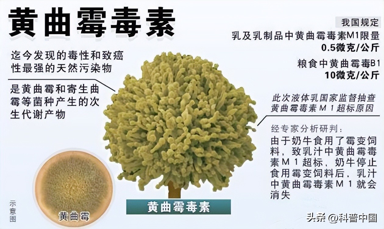 这6种癌症趁早治愈,这三种癌症可以治愈不必过度恐慌