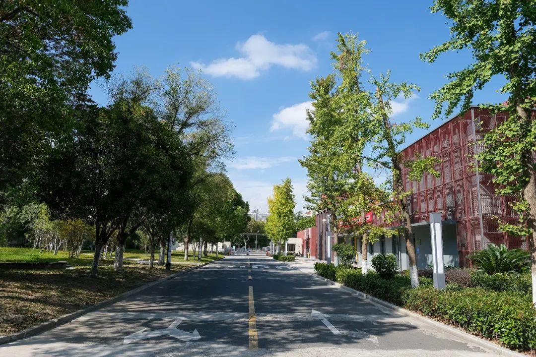 上海有几所双一流大学排名,复旦交大是双一流大学吗