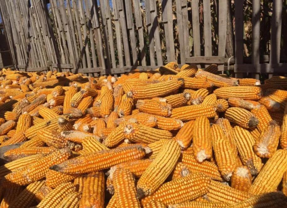 中储粮吉林分公司待遇,中储粮集团待遇怎么样