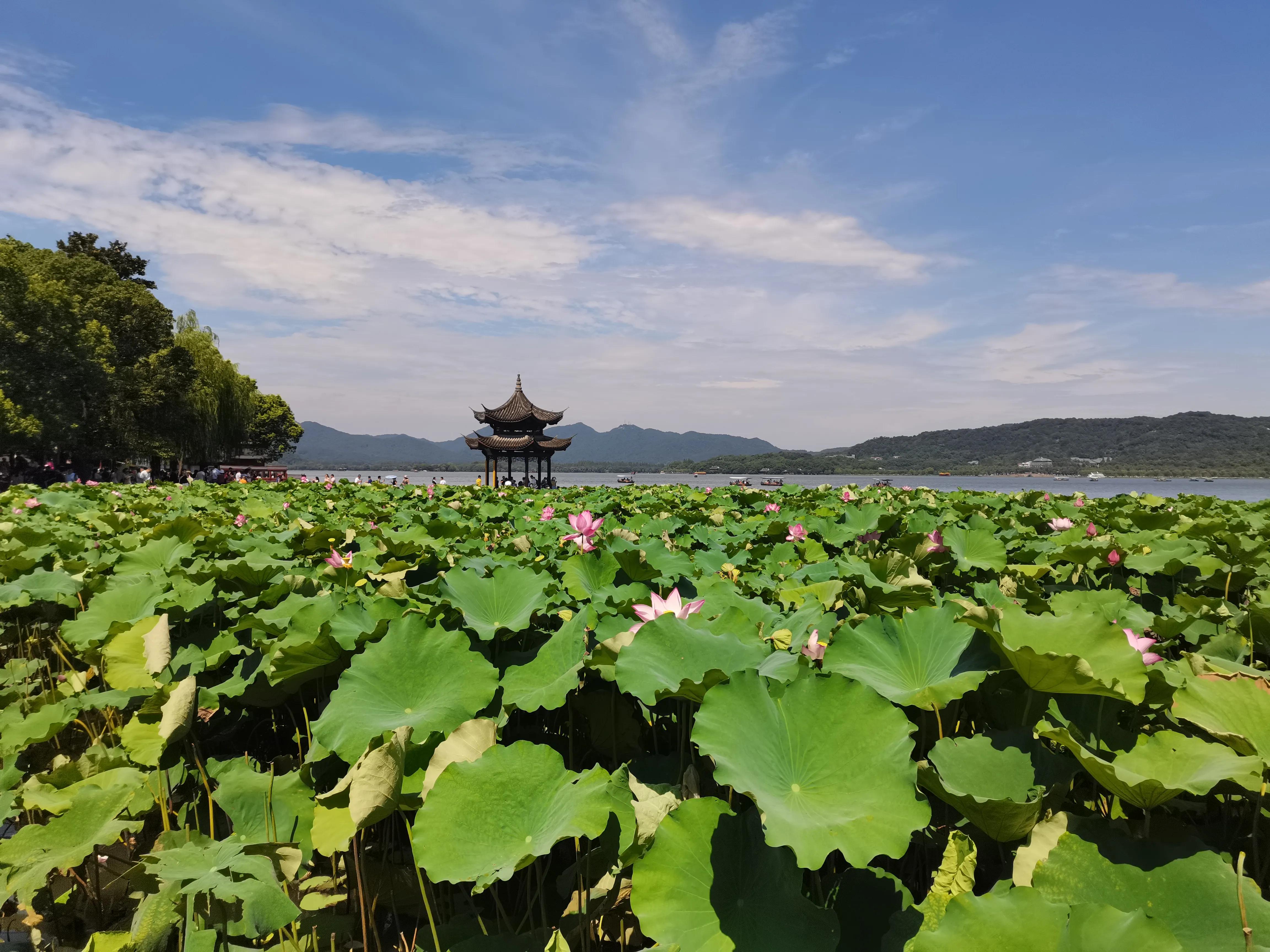 长城汽车坦克500销量,保定坦克500