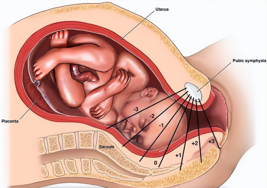 白天生孩子和晚上生孩子有区别吗,晚上生孩子和白天生孩子有何不同