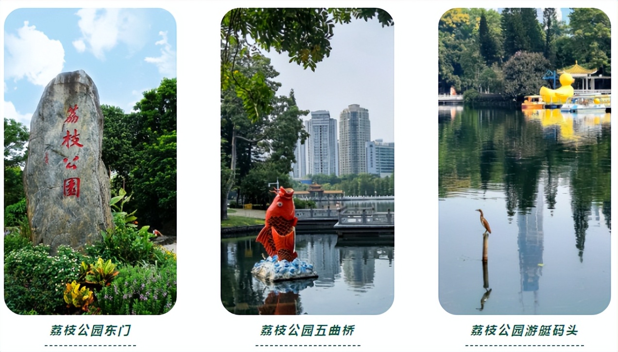 深圳2天1夜旅行攻略,深圳沙头角一日游详细攻略