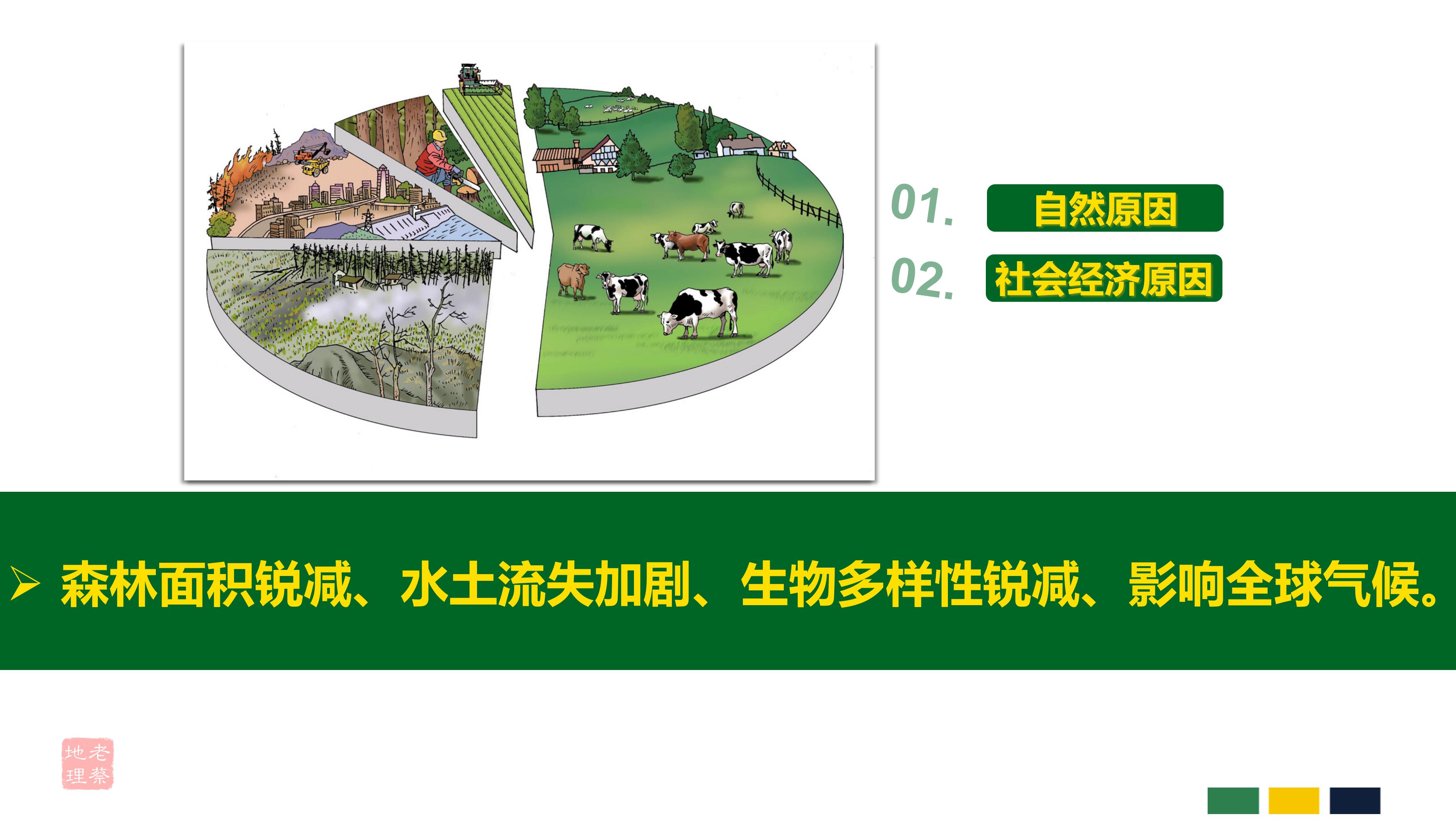 七年级下册地理第九章第二节巴西,七年级下册地理巴西2