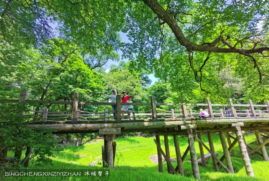 火山口国家森林公园与地下森林,清凉度夏探秘地下森林