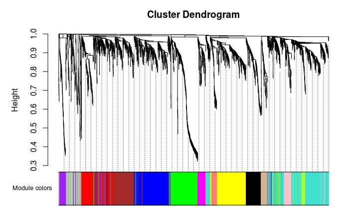 wcgna分析教程,wgcna原理